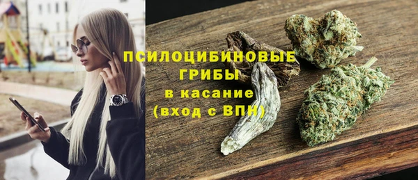 дживик Навашино