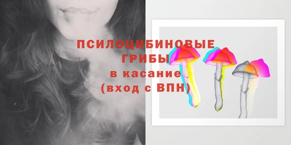 дживик Навашино