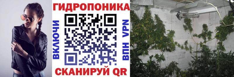 Бошки марихуана планчик  Нижняя Тура 